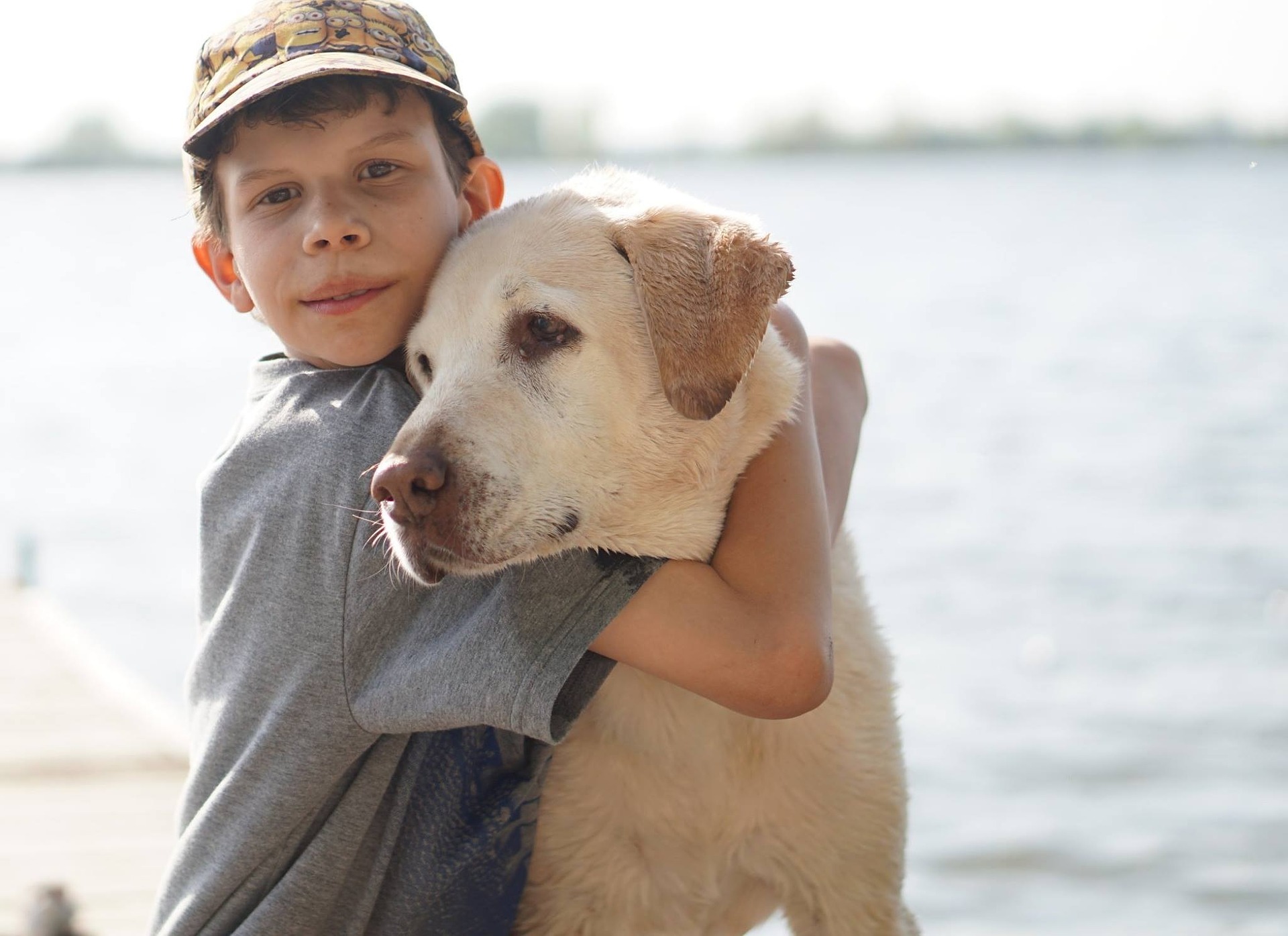 Labrador Kinder